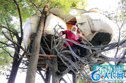   6旬根雕大师隐居树上：三室一厅有浴室